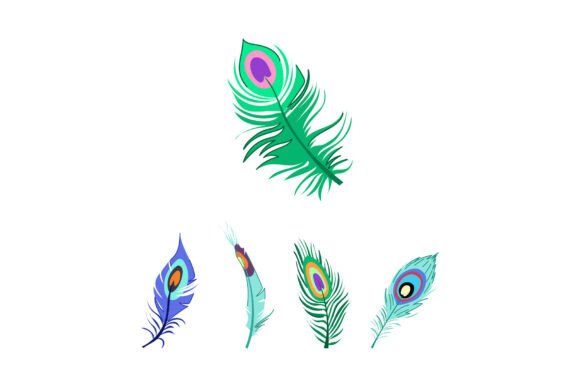 Collection of Colorful Peacock Feathers: Vibrant Design Assets